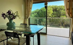Delightful Vacations Apartment In Algarve